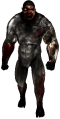 First release model of the Brute.