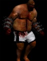 A newer model for the Brute that is cancelled.