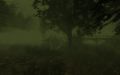 Thumbnail for version as of 07:21, 7 September 2026